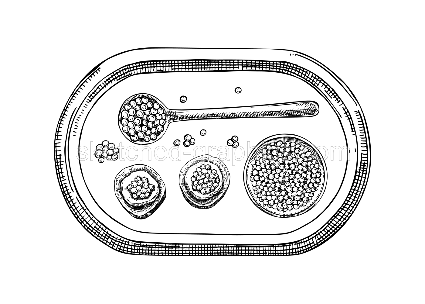 Seafood delicacy composition in sketched style for restaurant menu design. Hand-drawn tray with canned caviar, red caviar canape, lemons and spoon illustrations. Finger food sketched background Illustration